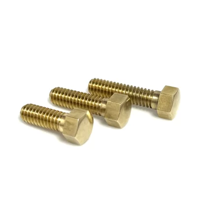 Polished Brass Banjo Rim Bolts